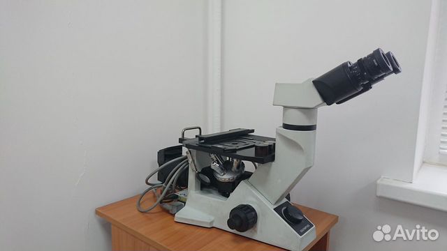 83422020019  Микроскоп olympus GX41F 