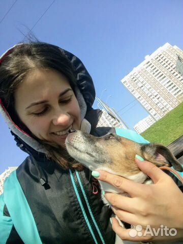 Кинолог. Коррекция поведения и дрессировка собак