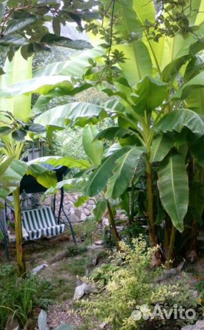 Дом 180 м² на участке 6 сот. Дом 180 м² на участке 6 сот.