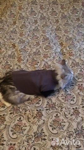 Куртка осень-зима для собаки купить на Зозу.ру - фотография № 2