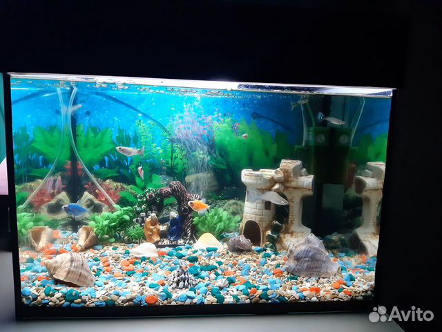 Продаю аквариум 40 л в сборе купить на Зозу.ру - фотография № 3