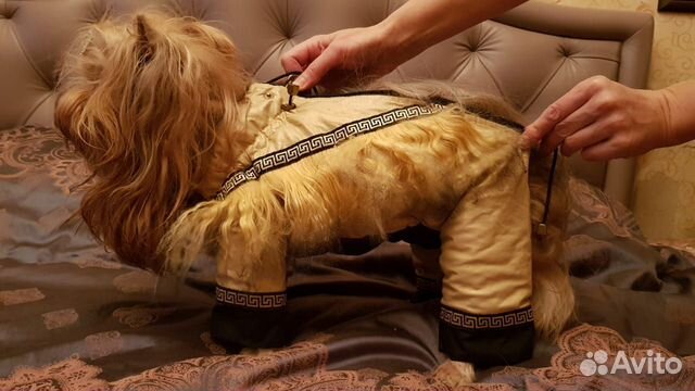 Комбинезоны для не больших собак Комбинезоны для не больших собак