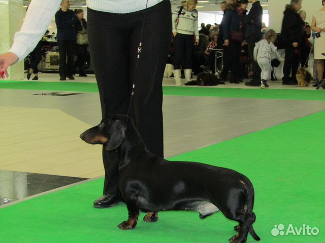 Вязка
