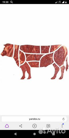 Мясо быка купить на Зозу.ру - фотография № 1
