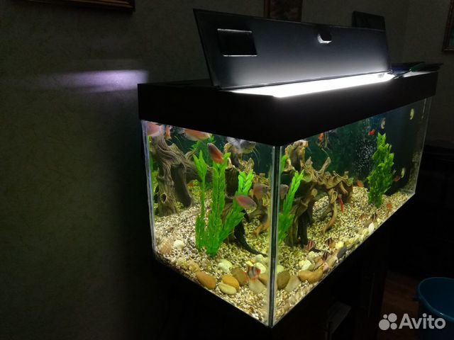 Продам аквариум купить на Зозу.ру - фотография № 2