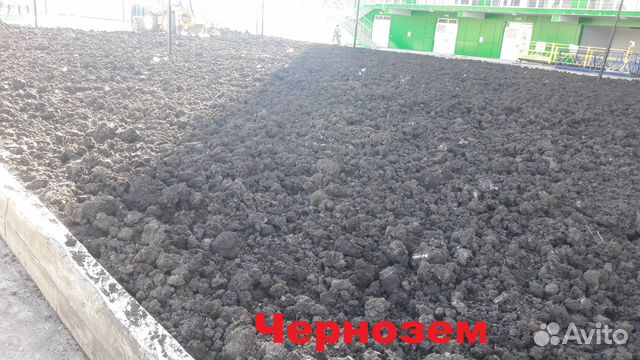 Чернозем перегной грунт земля