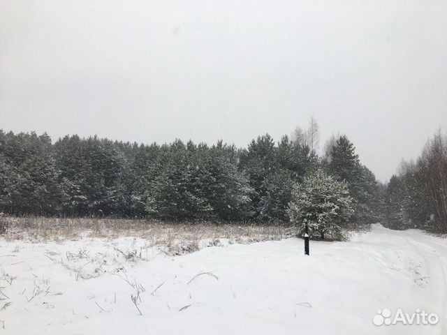 Участок 10 сот. (ИЖС) Участок 10 сот. (ИЖС)