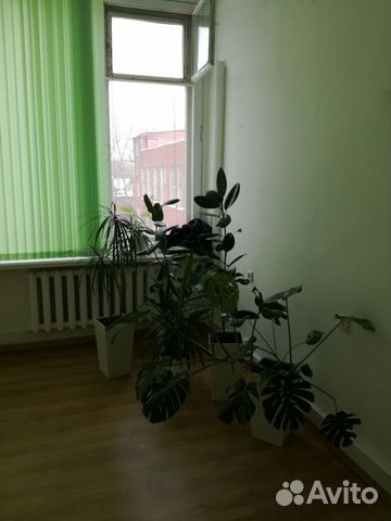 Офисное помещение, 17 м² Офисное помещение, 17 м²