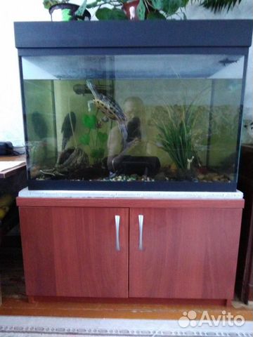 Продаю аквариум 200 литров купить на Зозу.ру - фотография № 6