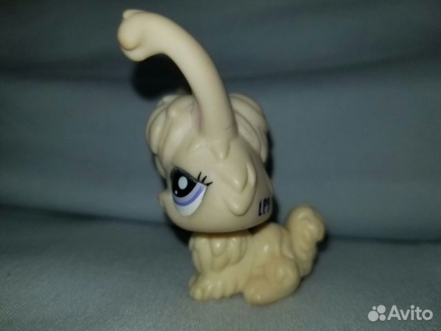 Littlest pet shop