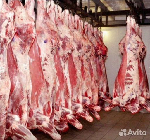 Инвестиции с гарантией прибыли Инвестиции с гарантией прибыли