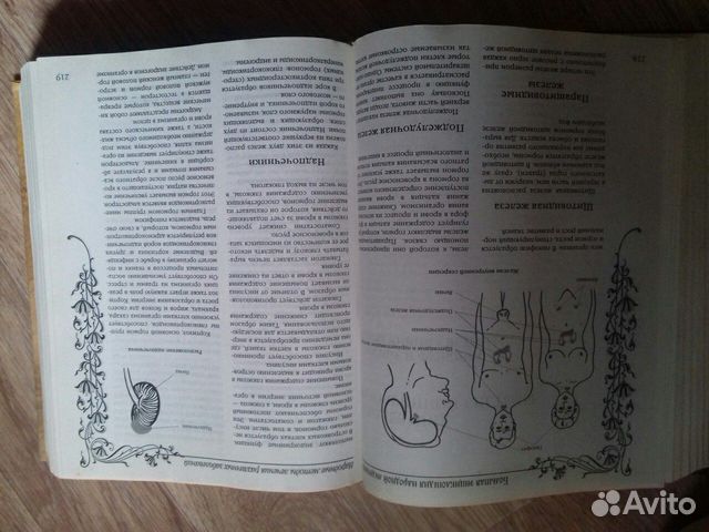 Большая энциклопедия народной медицины Большая энциклопедия народной медицины