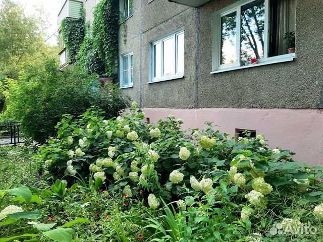 1-к квартира, 31 м², 3/5 эт.
