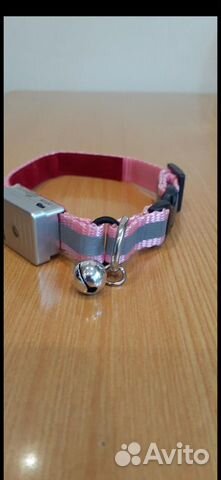 Ошейник