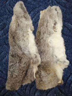 Шкурки кролика - зайца) овцы и. неизвестный зверь)
