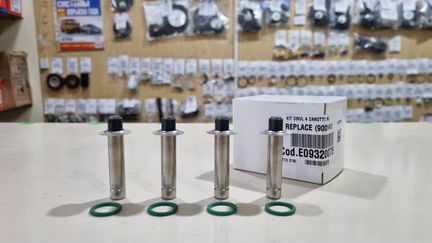 Ремкомплект рампы гбо omvl Fast Light/SL