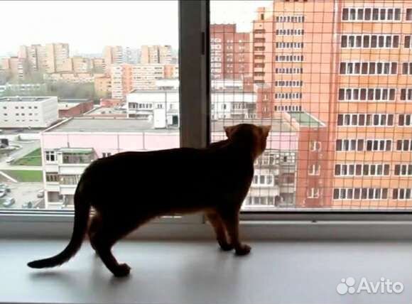 Антикошка - защитная сетка на окно