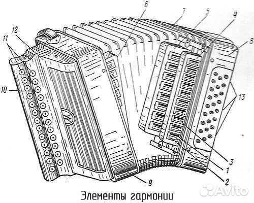 Устройство баяна схема