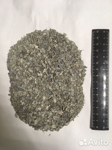 Ракушка морская серая