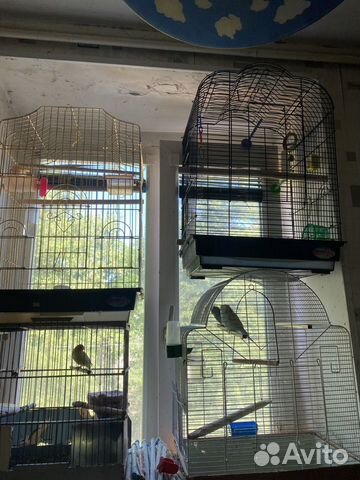 Клетки и переноски