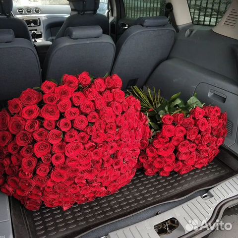 Розы красные. Букет из роз. Розы белые.51.35.25.1