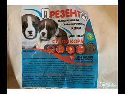 корм для собак презент