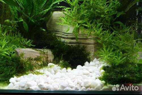 Грунт в аквариум