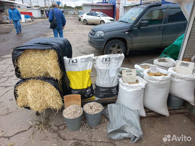 Корм для животных