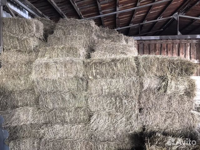Сено в сарае. Сено иркутск. Сено иркутск. Сено в тюках. Сено луговое разнотравие тюки.