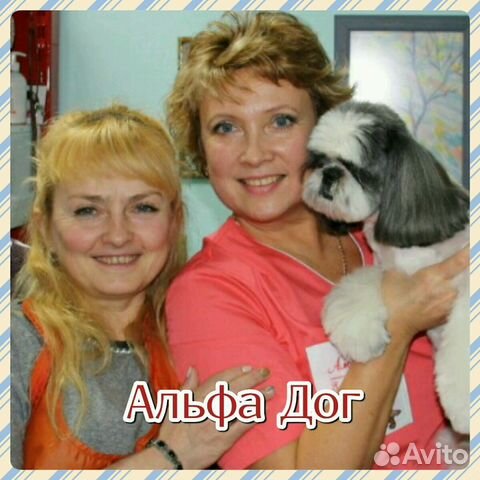 Качественная стрижка кошек и собак всех пород