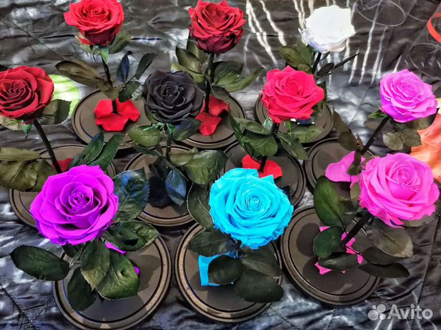 Розы в колбе (вечные)