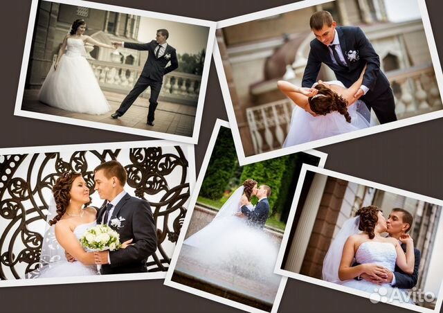 Свадебный фотограф. Профессиональный фотограф