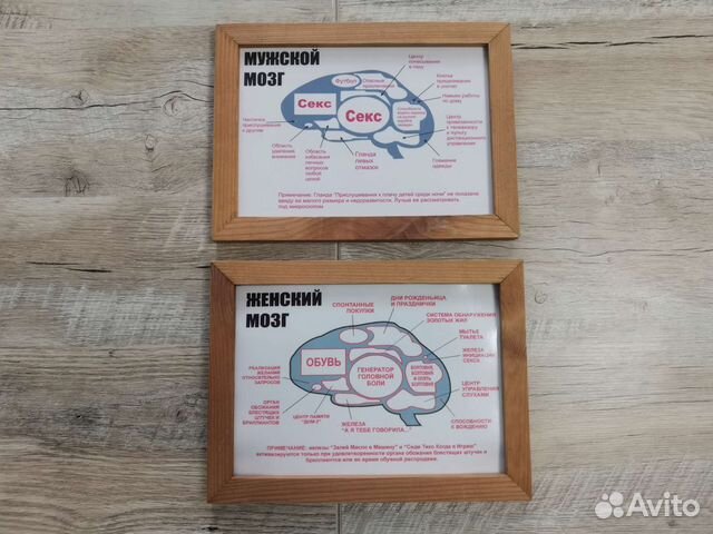 Постер в рамке мужской и женский мозг(цена за оба)