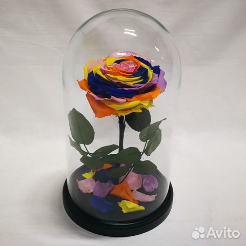 Цветы в стекле купить в казани цветы на заказ с доставкой тула