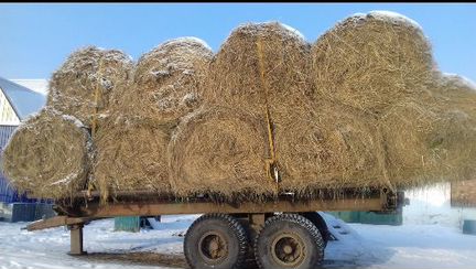 Сено, солома
