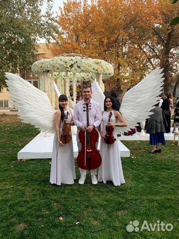 Струнное трио 