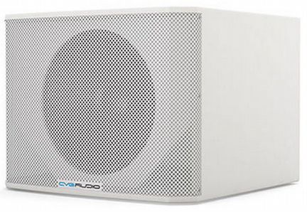Профессиональный пассивный сабвуфер CVGaudio Beatb