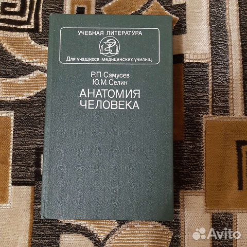 Анатомия человека