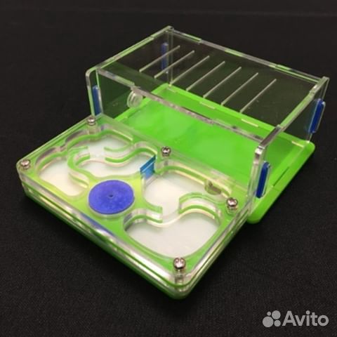 Муравьиная ферма Ant Farm