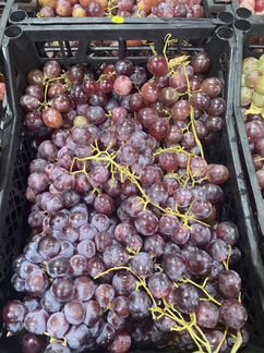 Виноград