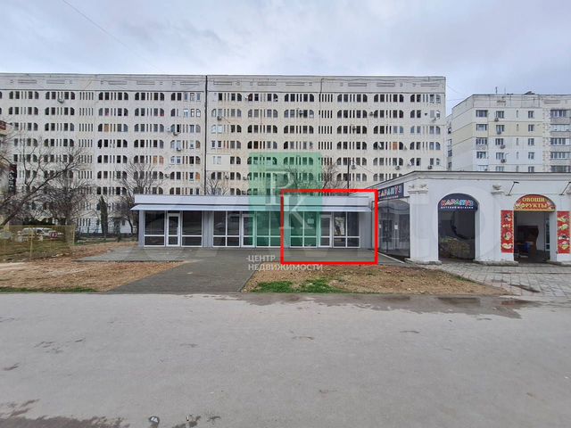 Кактус шоу ул бориса михайлова 5в фото