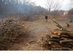 Заказать планировку участка дачного дома в г.Волгоград от 1556 руб. за сотку