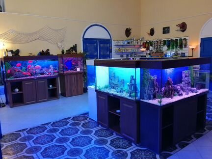 Аквариумы любых размеров