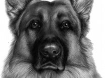 Dibujos de perros realistas