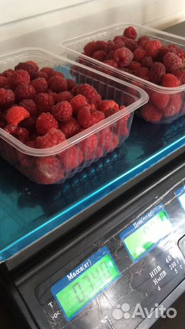 Продам питомник саженцы ягодных культур + ягода
