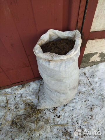 Конскии навоз