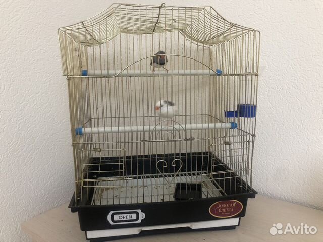 Клетка для птиц