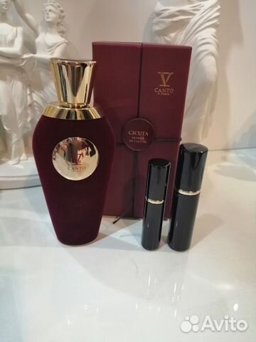 Делюсь V canto cicuta