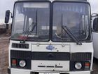 Городской автобус ПАЗ 32053, 2006