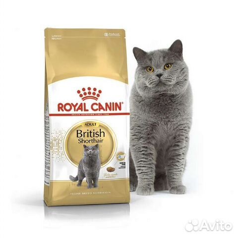 Корм Роял Канин 6 кг для британских кошек
